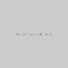 Image of Rabbit Creatinine ELISA kit